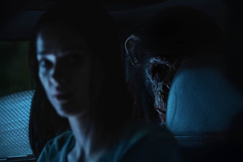 'Primate' devuelve el jolgorio del gore al cine con una película con la que da gusto engorilarse en la butaca