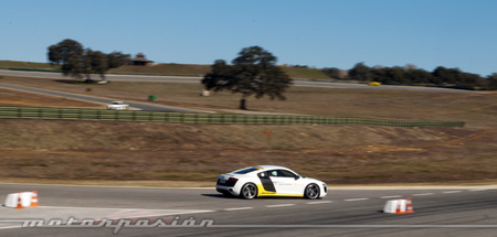 Dunlop Sport Maxx Race