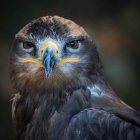 Pedir ayuda cuando comenzamos un proyecto es de valientes