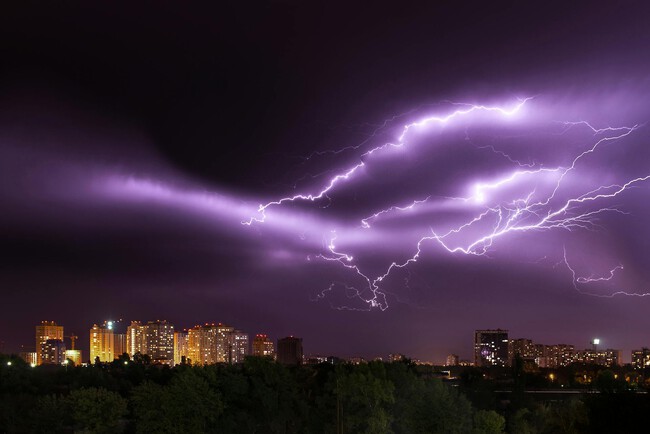 Pexels Zvolskiy 1576369