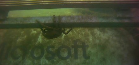 En vivo, mira los peces nadar alrededor del gigantesco centro de datos submarino de Microsoft con 864 servidores