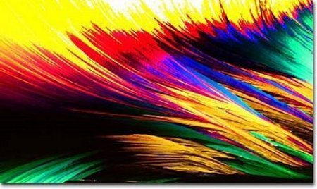 Tus marcas favoritas de cerveza... bajo el microscopio