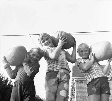 Niños 1960