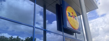 El ventilador de Lidl perfecto para sobrevivir a las olas de calor: con pantalla LED, 16 niveles y mando para no moverte del sofá
