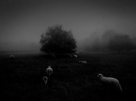 自然、第一位。 Sukru Mehmet Omur 氏が iPhone 6s で撮影した写真。