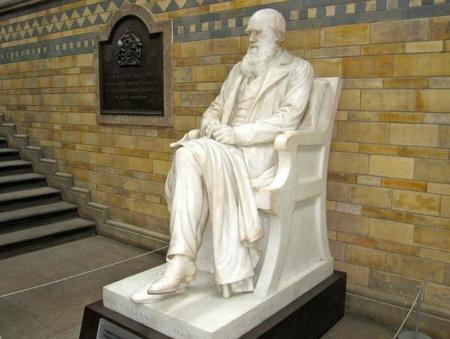 Charles Darwin Museo Historia Natural Londres