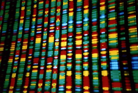 Se descubren los genes que determinan tu altura y eso es importante
