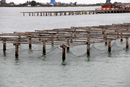 El Parque Natural del Delta del Ebro, ecoturismo en marcha