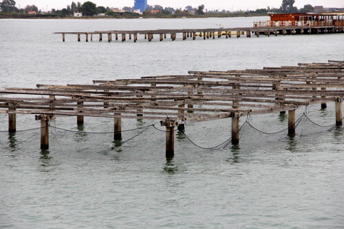 El Parque Natural del Delta del Ebro, ecoturismo en marcha