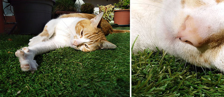 Nubia Z11 Minis Camara 01