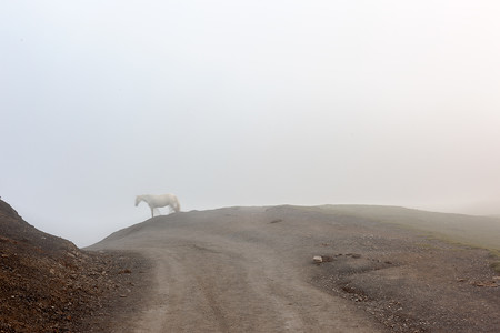 Las fotografías que no hemos podido hacer