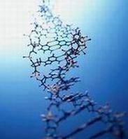 El consejo genético, una información muy valiosa