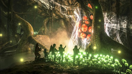 ark