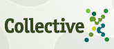 Collectivex, crea tu propia red privada de usuarios
