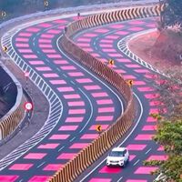 India pintó sus carretera de rojo en reservas naturales por un motivo: reducir atropellos de animales usando la psicología del color 