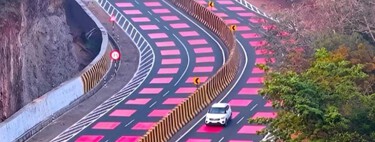 Asfalto rojo y túneles bajo la tierra el truco en India para que leopardos y tigres puedan cruzar la carretera sin ser atropellados