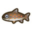 Trout