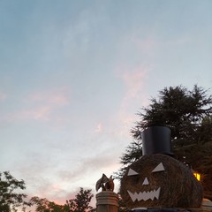 Foto 10 de 45 de la galería fotos-mate-20-mes-de-uso en Xataka