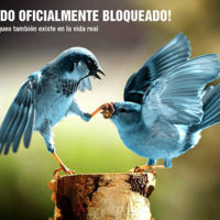 El community manager monologuista