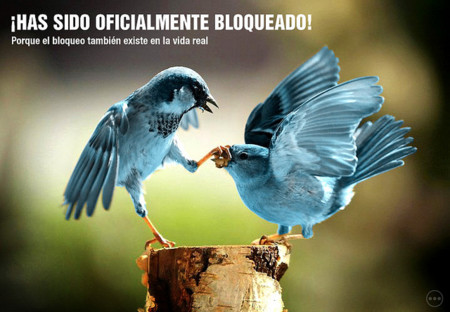 El community manager monologuista