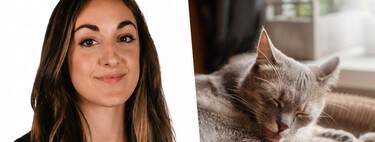 Eva Sánchez, veterinaria, sobre cómo afectan las olas de calor a los gatos: "Hay que estar alerta si están más apáticos, se esconden, pierden el apetito o aparecen signos como debilidad, vómitos, respiración acelerada, babeo o jadeo"