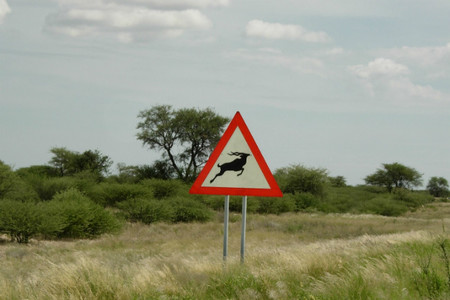 impala-senal-trafico-namibia