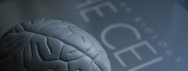 Epilepsia infantil: ¿qué es?