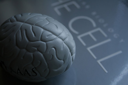 Epilepsia infantil: ¿qué es?