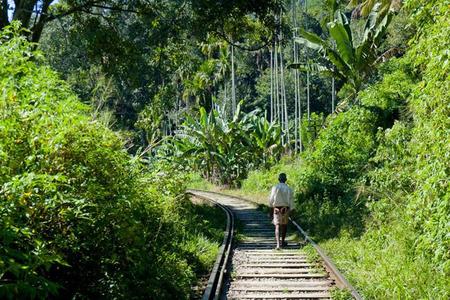 Bellos paisajes y trekking en Ella, Sri Lanka
