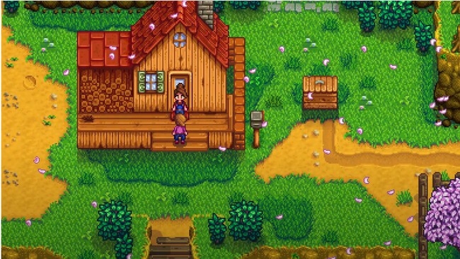 Jodi Stardew Valley