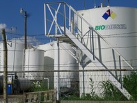 Pues ahora me enfado y no respiro: España deja de comprar biodiesel a Argentina