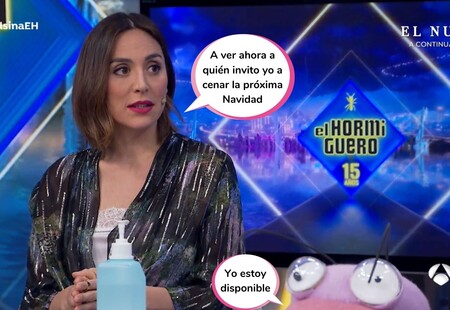 El quebradero de cabeza de Tamara Falcó por el divorcio de su hermano, Julio José Iglesias