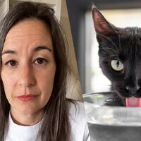 Neus Candela, veterinaria: "El pienso seco de los gatos apenas contiene humedad, así que aunque el animal beba de su cuenco con regularidad, esa cantidad de agua puede quedarse corta" 