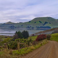 Paisajes de película y fauna marina en la intacta costa de Catlins, Nueva Zelanda