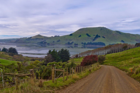 Paisajes de película y fauna marina en la intacta costa de Catlins, Nueva Zelanda