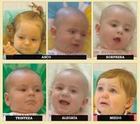 Una guía de expresión para ayudar a entender a los bebés