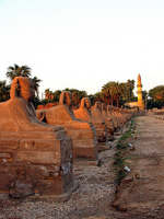 Egipto: se inaugurará la Avenida de las Esfinges 
