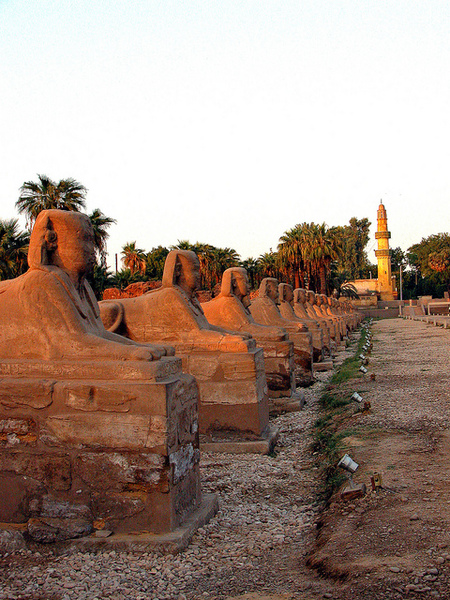 Egipto: se inaugurará la Avenida de las Esfinges 