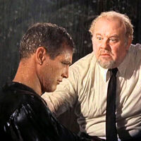 Paul Newman ha tenido muchas interpretaciones legendarias. Una de sus mejores películas le llevó a un terreno muy personal y la puedes ver en streaming