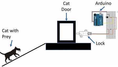 Esquema Ia Gato Animales Muertos