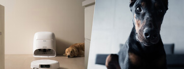 A man tried to control his robot vacuum cleaner with a remote control: he ended up having access to 6,700 devices around the world  