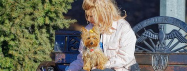 Antes de adoptar a un perro deberías ser capaz de responder "sí" a estas cinco preguntas  