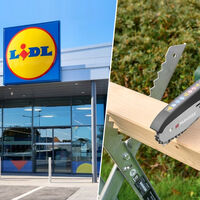 Hoy, 9 de julio en Lidl: la mini motosierra inalámbrica que parece profesional por menos de 25 euros