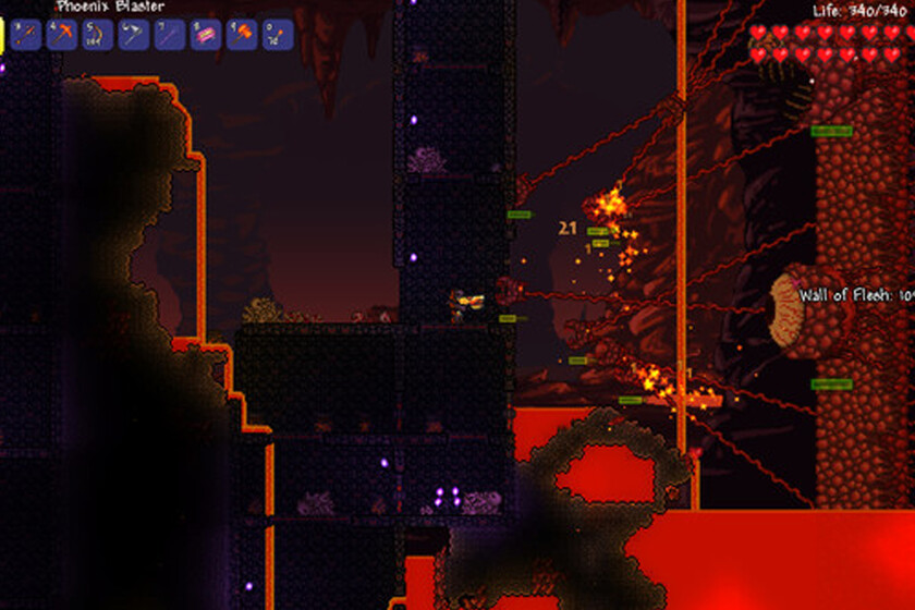 Terraria Stardew Esposa