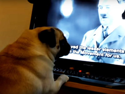 Condenan a un YouTuber que enseñó el saludo nazi a su perro