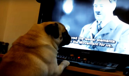 Condenan a un YouTuber que enseñó el saludo nazi a su perro