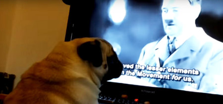 Condenan a un YouTuber que enseñó el saludo nazi a su perro