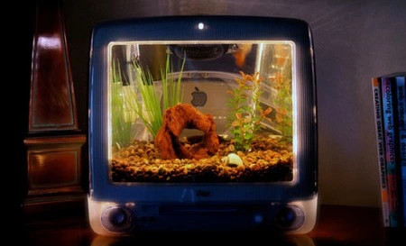 Un viejo iMac convertido en un acuario