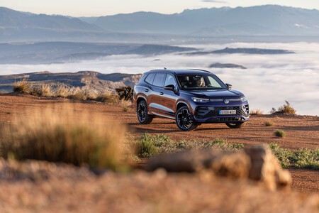 Tayron Ultra Violeta 33