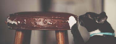 Estos Reyes tu gato también necesitará rascar cosas. Mejor que sea uno de estos rascadores